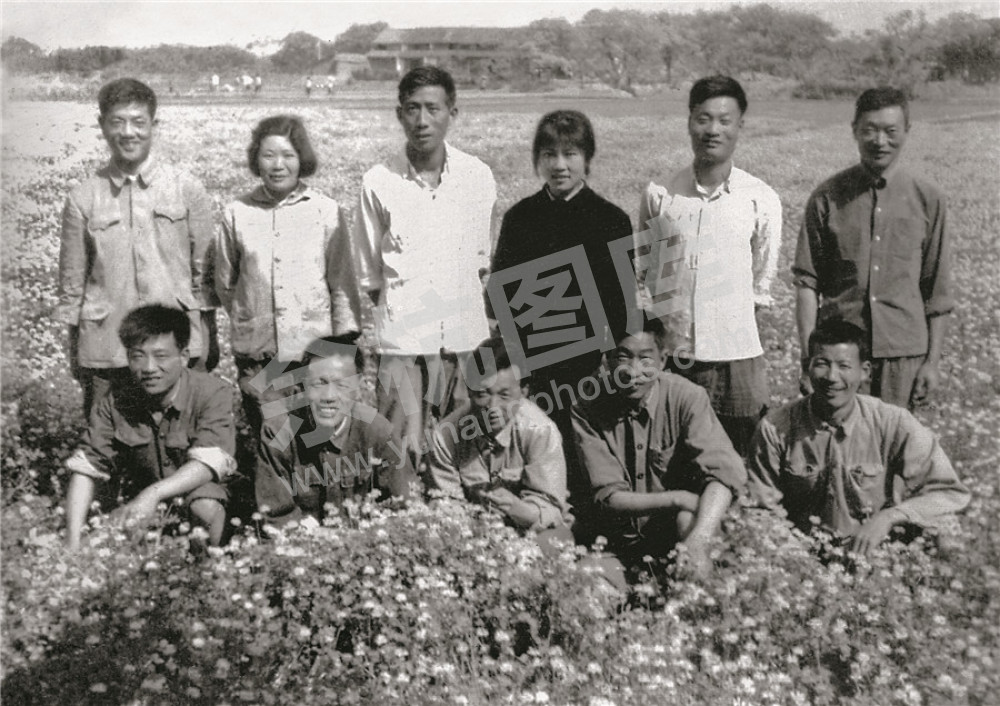 五常公社干部在田头（摄于1963年）