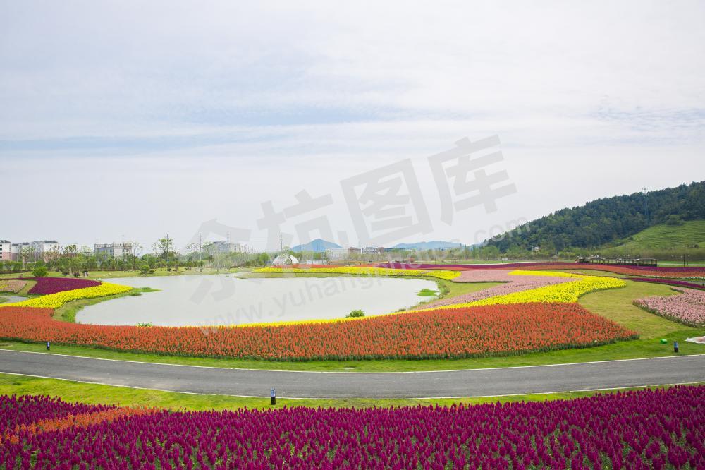 径山花海