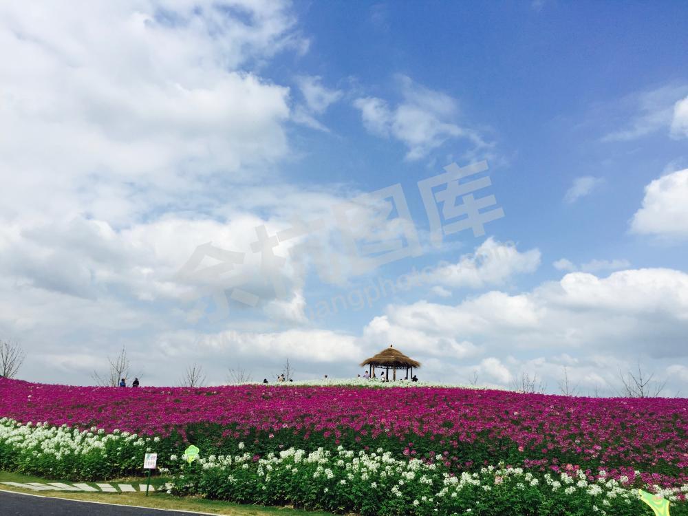 径山花海