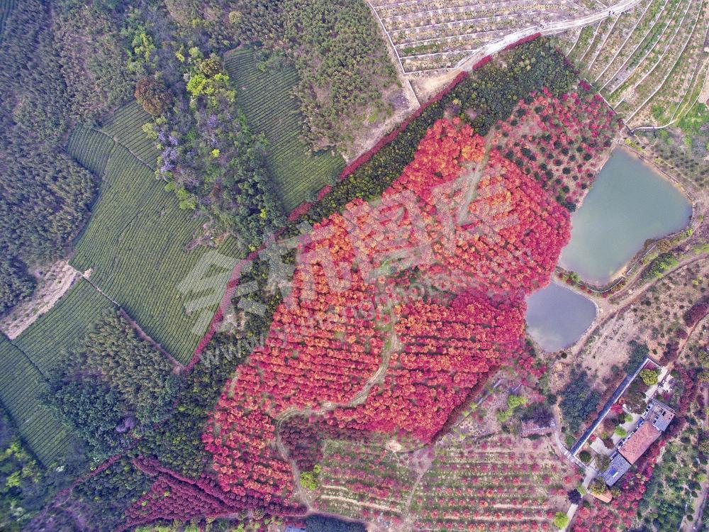 绚丽的大径山乡村国家公园-2