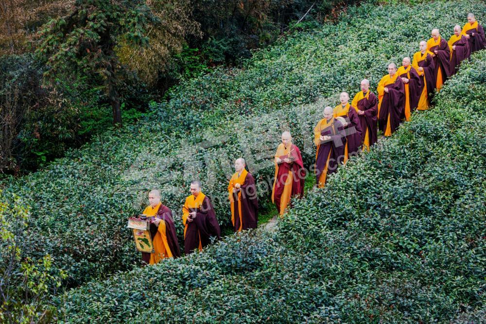 径山寺-中国禅茶发源地-4