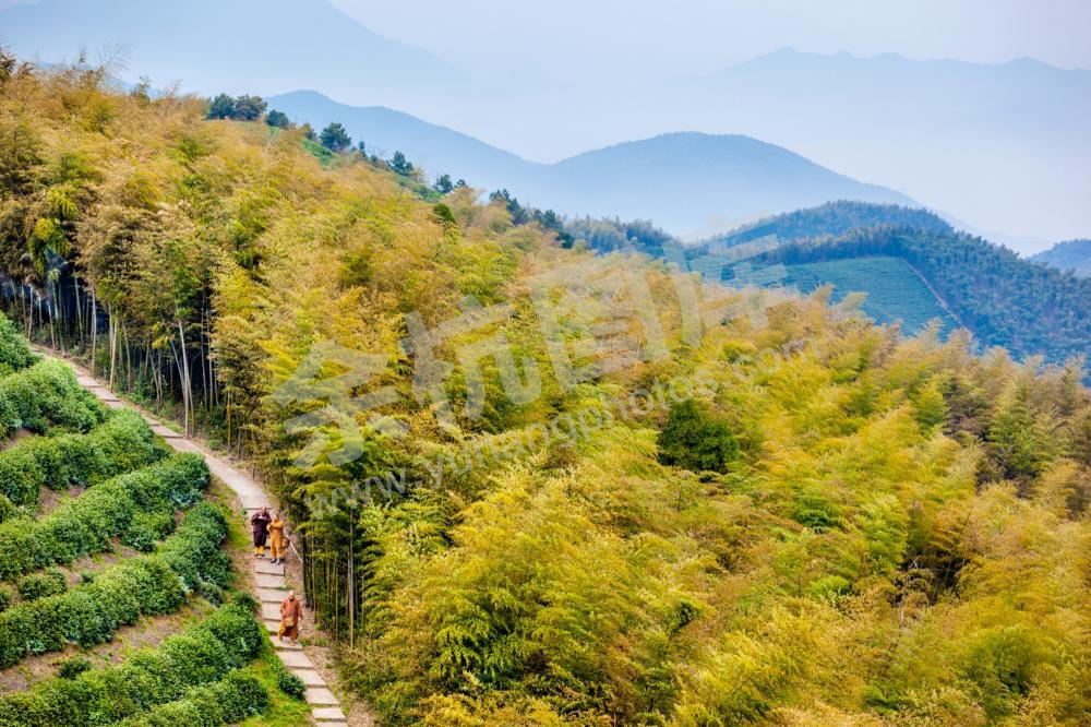 径山寺-中国禅茶发源地-5