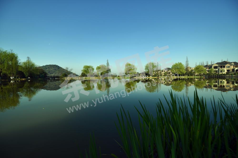 余杭街道仙宅村