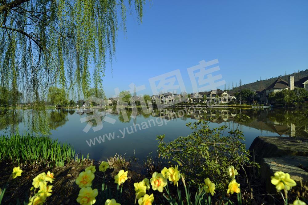 余杭街道仙宅村