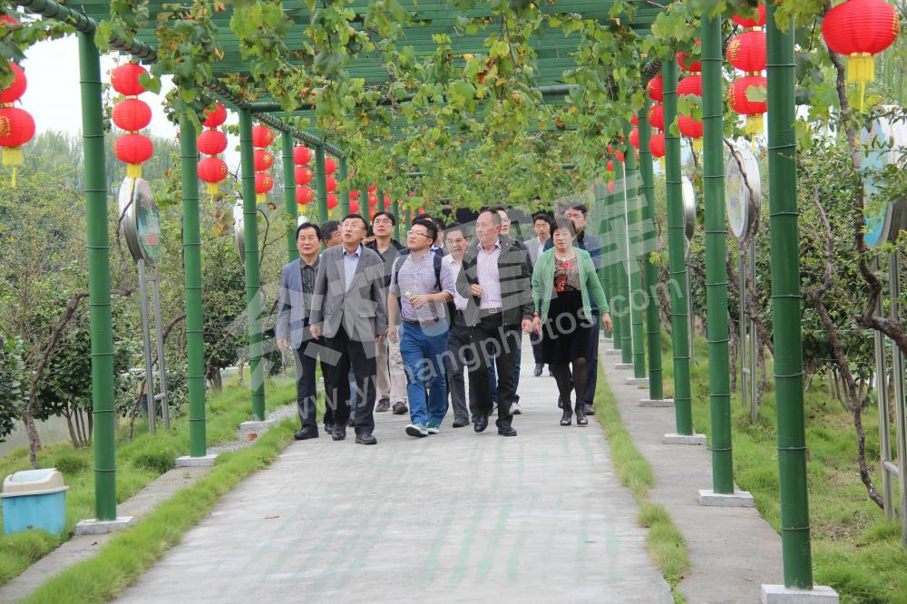韩国渔业代表团一行莅临余杭上升农业考察