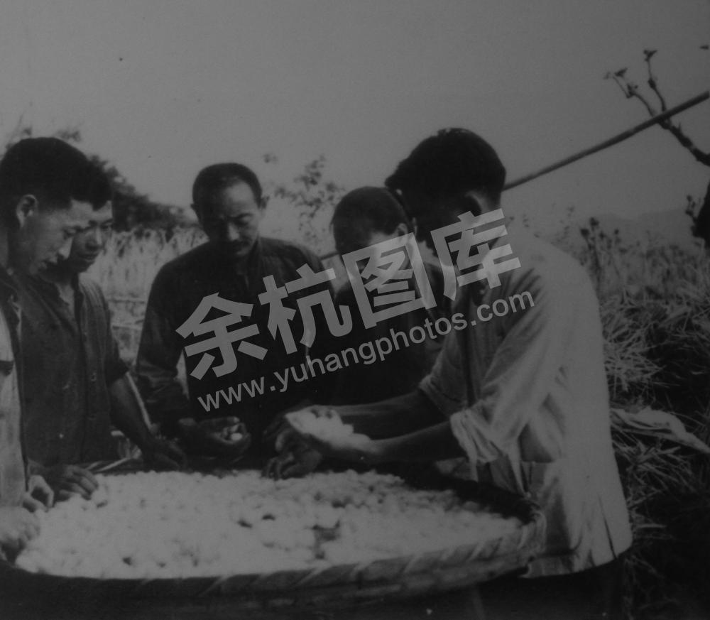1963年友谊大队干部采好茧子动员出售