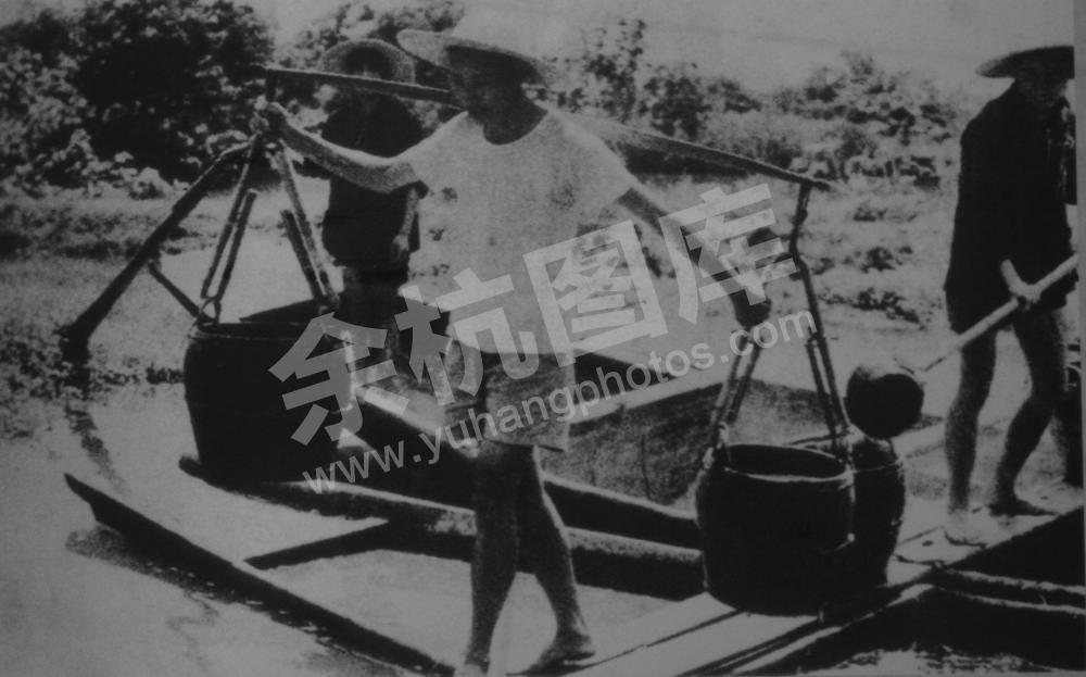 干部参加田间劳动