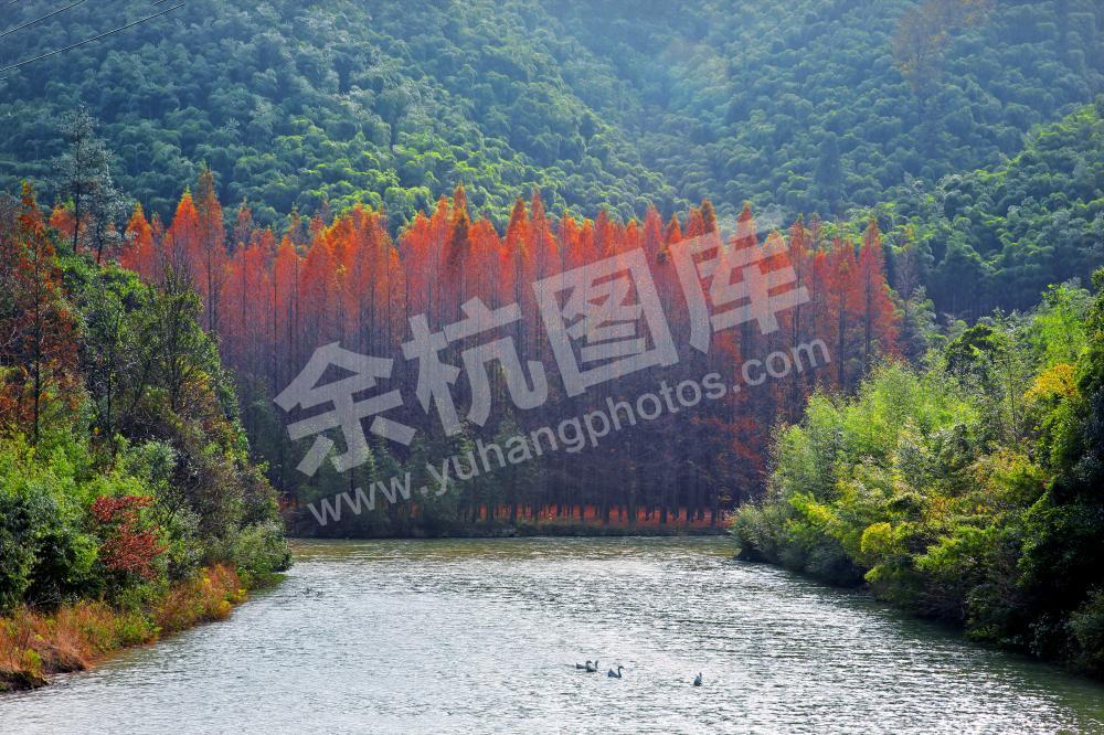 秋水一景.冯寿鹏