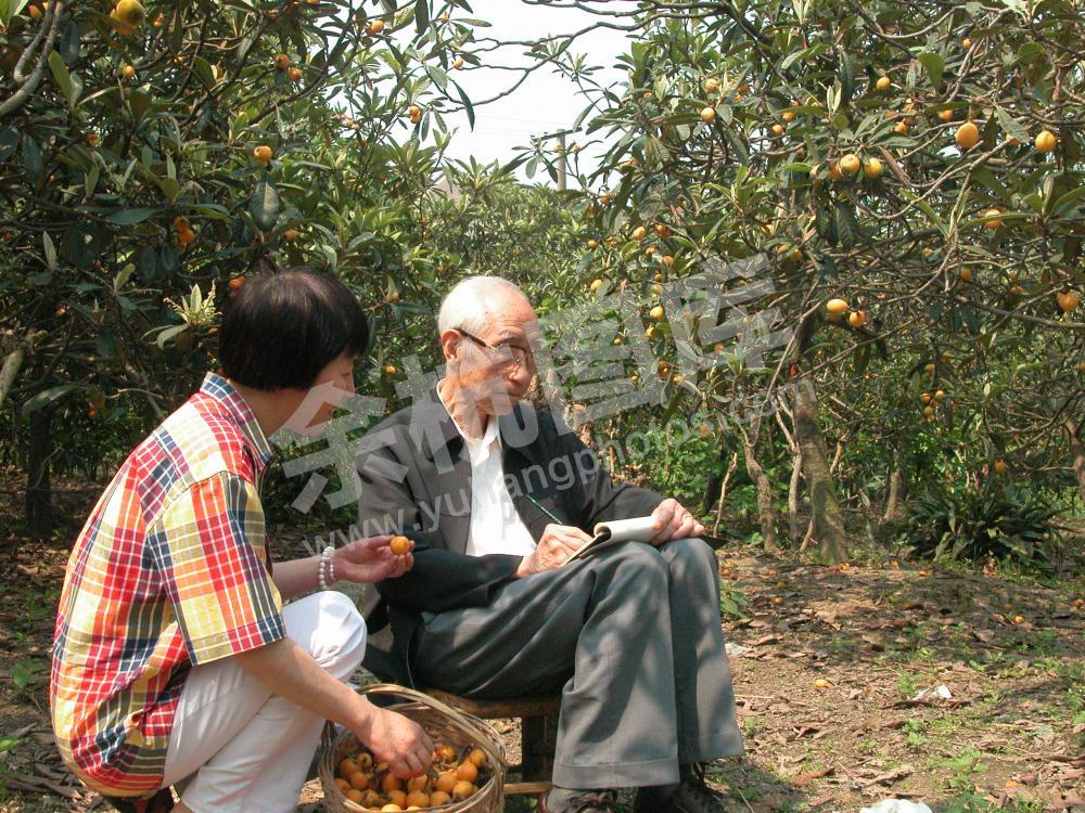 2004年5月25日，当代著名画家柳春在仁和镇东塘村黄家墩写生