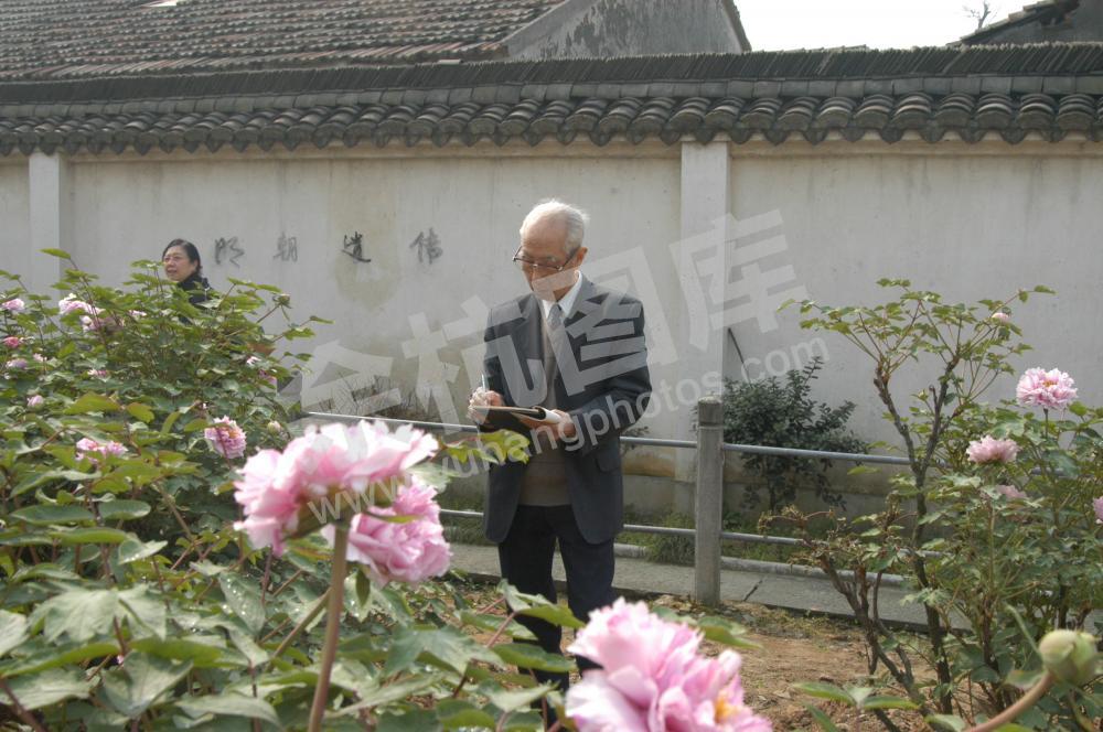 2006年4月3日，当代著名画家柳村在仁和镇普宁牡丹园写生