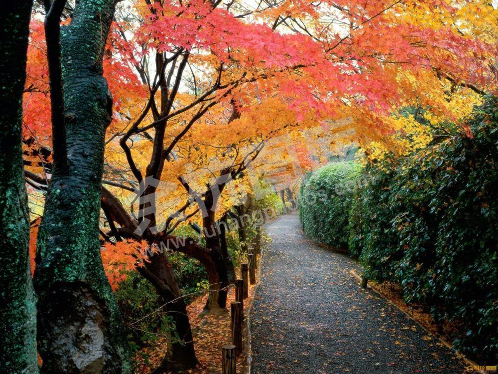 径山古道 (2)