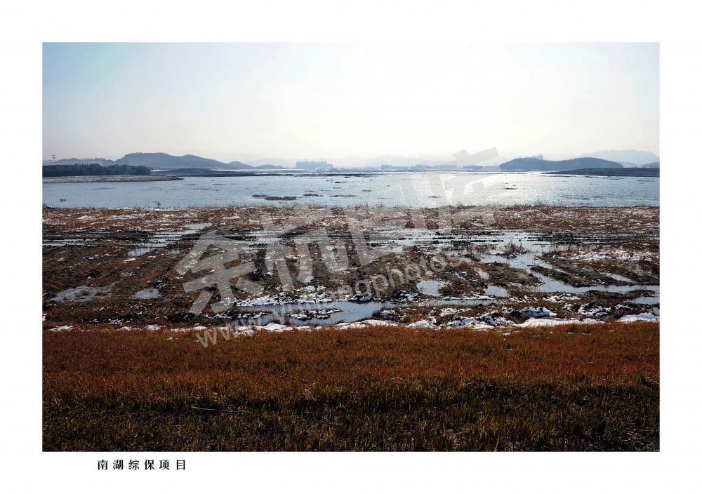 南湖综保项目