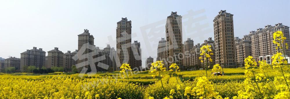 仓前街道-仓溢绿苑