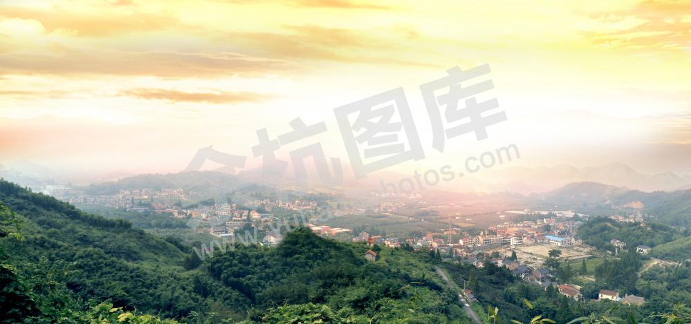 鸬鸟全景
