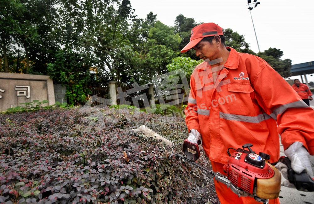 国庆公路养护工人修剪绿化