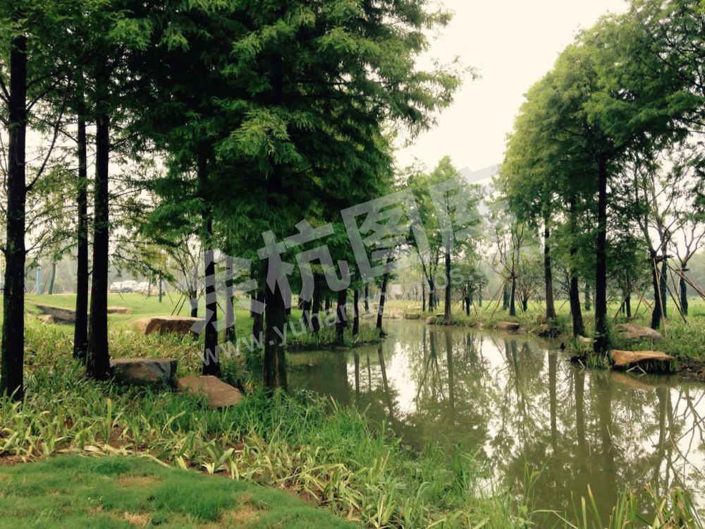 绿道漕雅线景观