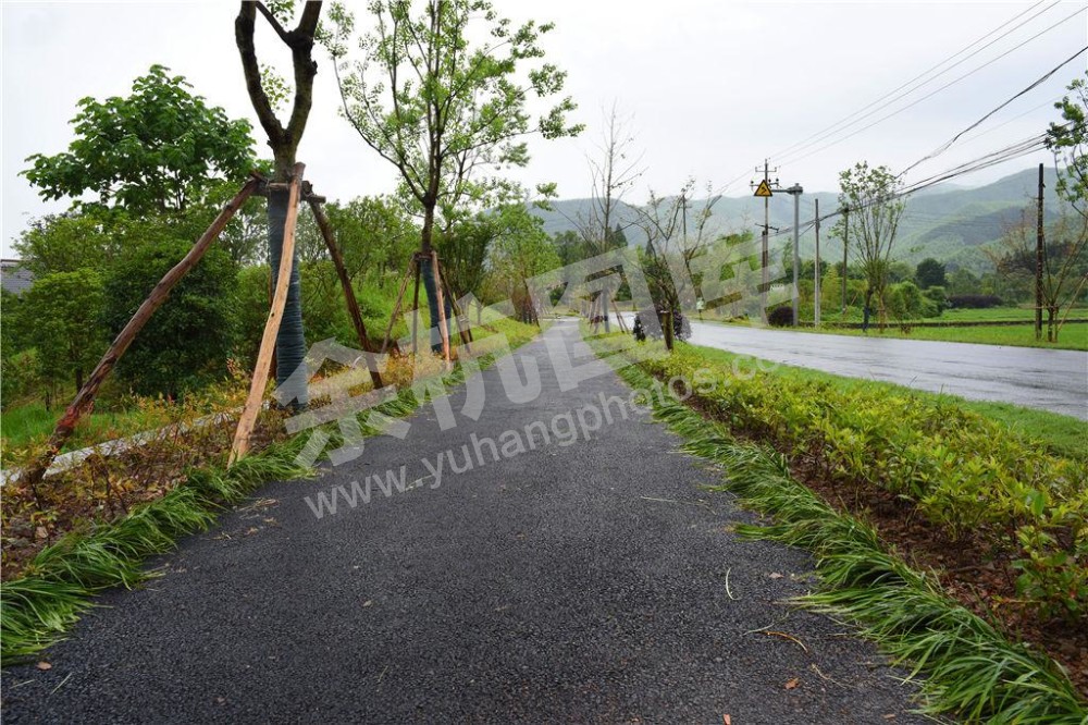 双溪村骑行绿道