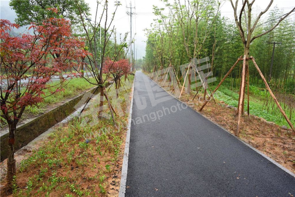 樱花大道骑行道