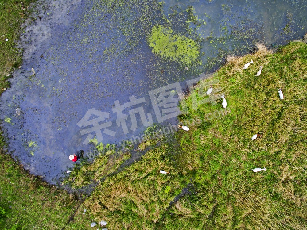 绚丽的大径山乡村国家公园-4