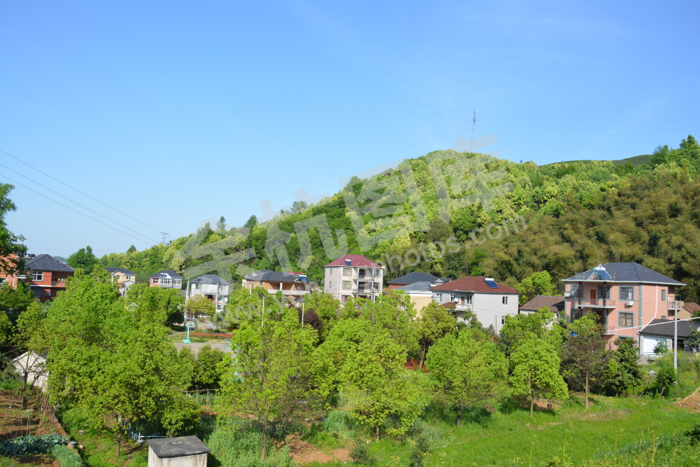 余杭区中泰街道枫岭村