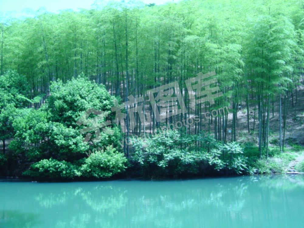 东明山森林公园