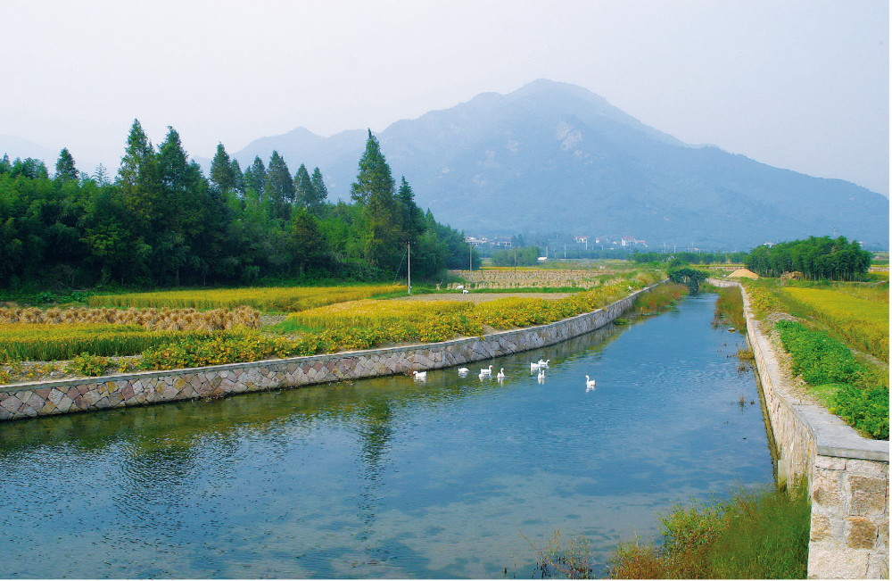整治后的小流域