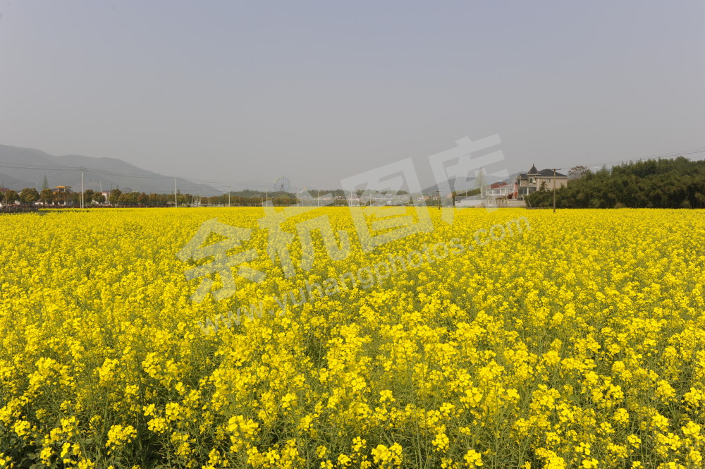 小古城休闲之窗