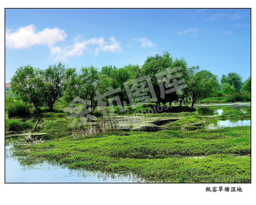 瓶窑草塘湿地