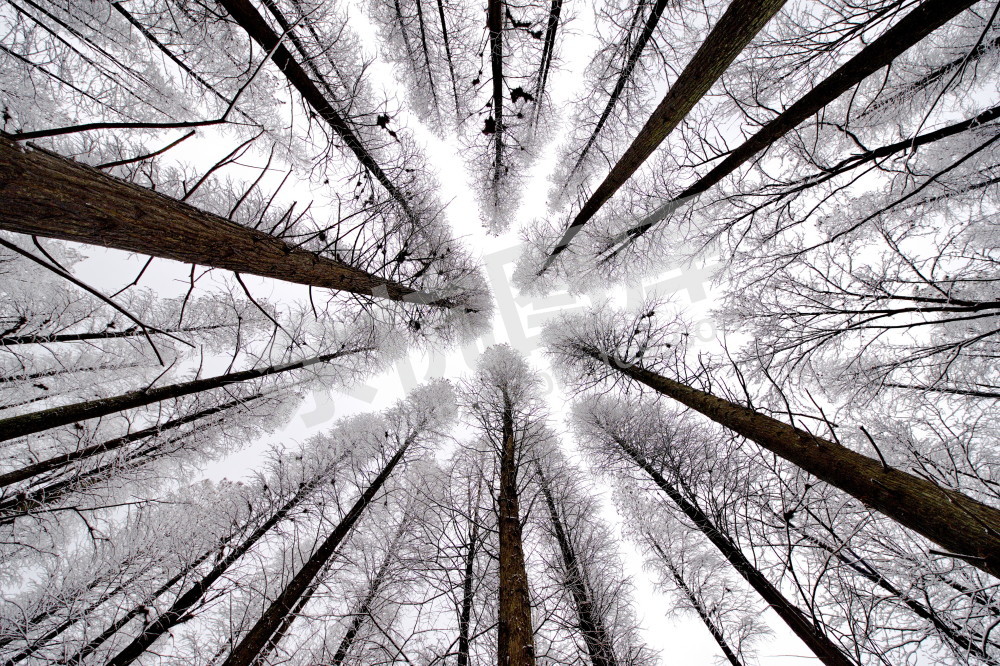 径山甘岭湖风光