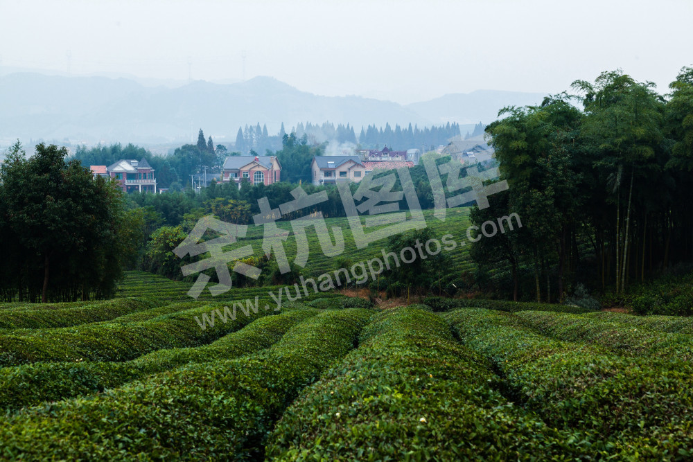 径山镇小古城村