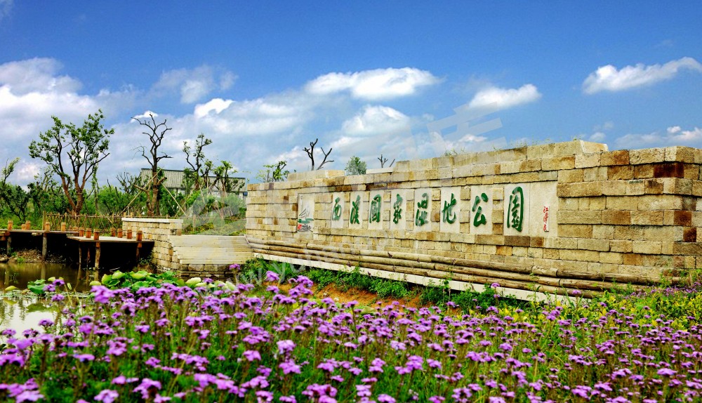 西溪湿地洪园