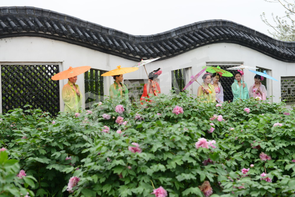 普宁牡丹花园