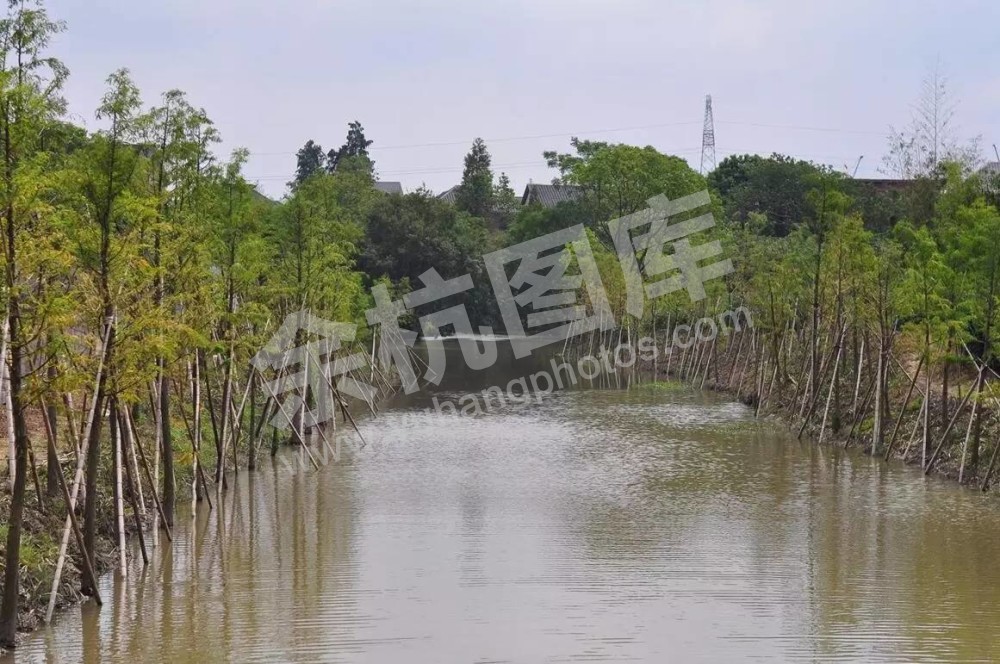 新港村小微水体治理，让美丽乡村名符其实