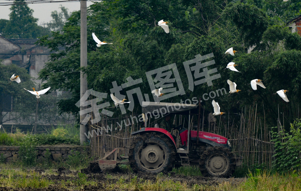 春耕时分