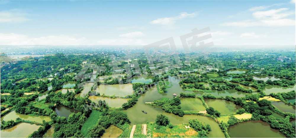 西溪湿地万塘览盛