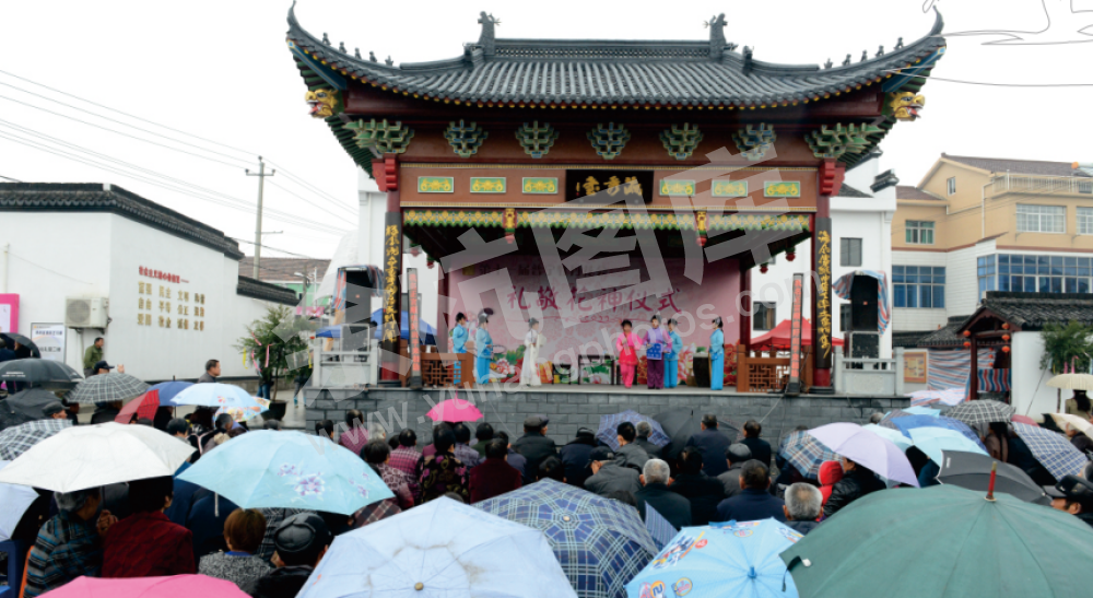 普宁村牡丹花会
