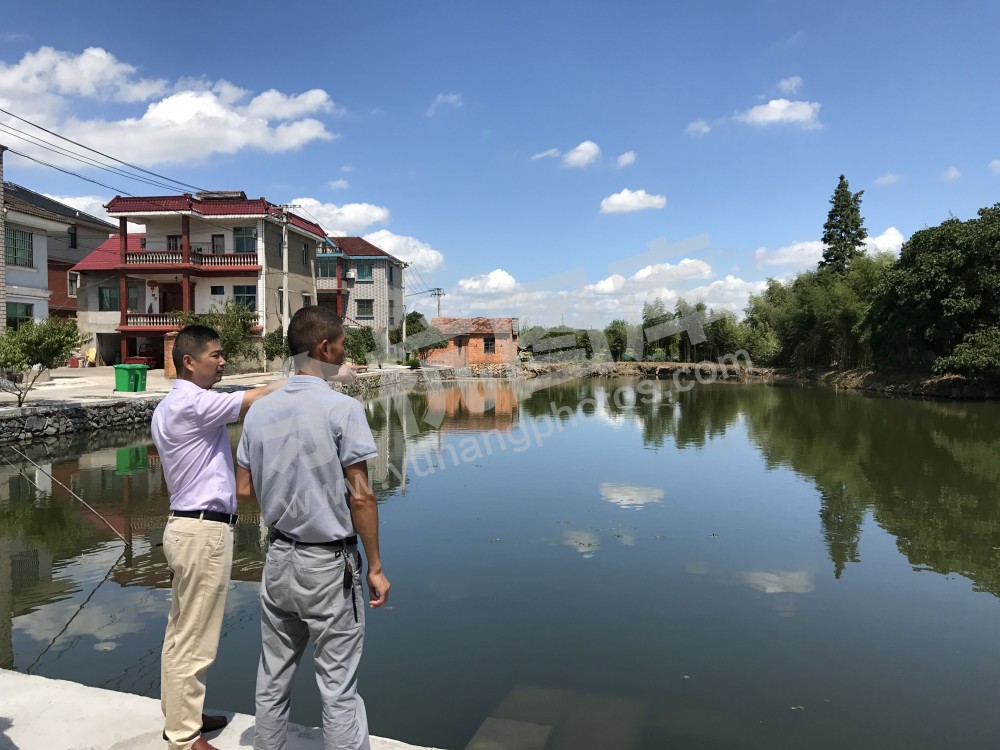 洪桐村党员群众积极创建美丽乡村