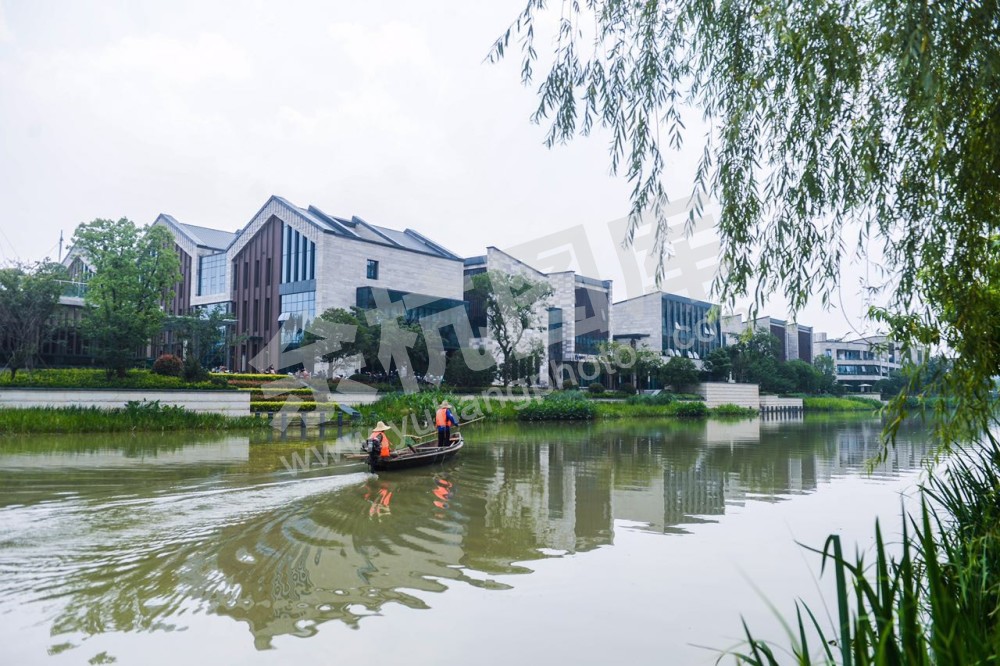 五水共治河道返清