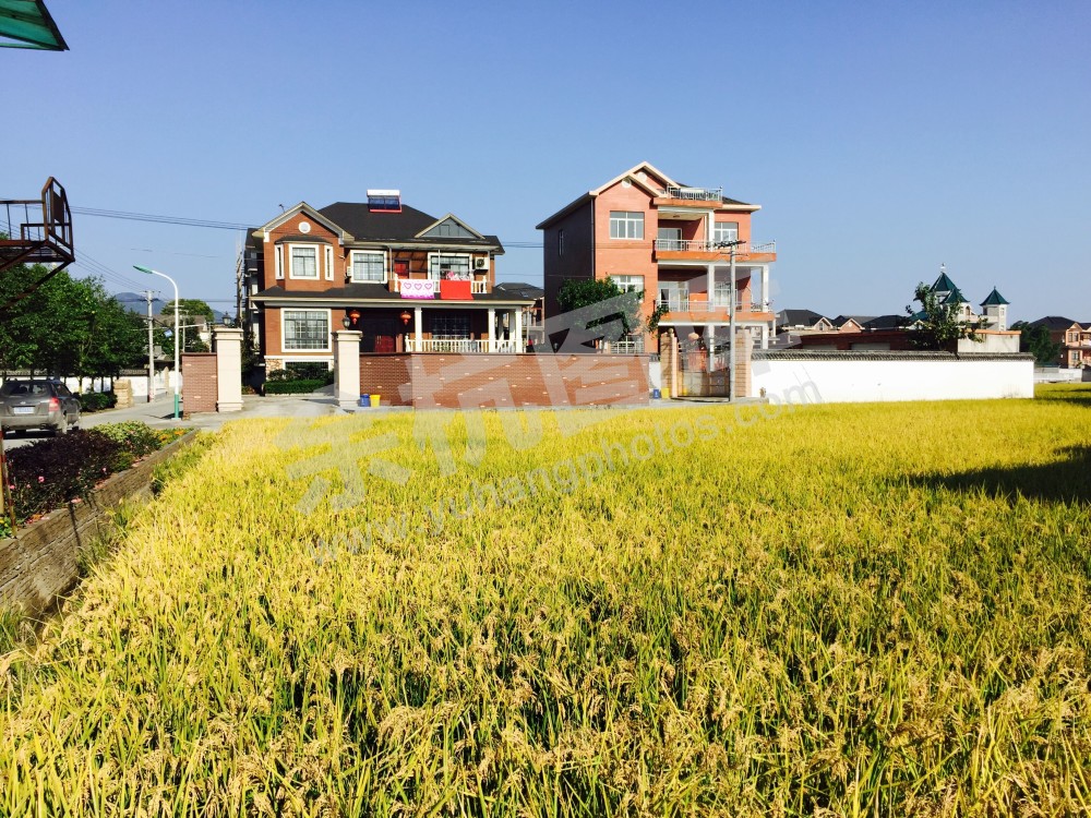 良渚港南村