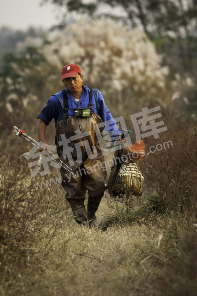 北湖捕鱼回来