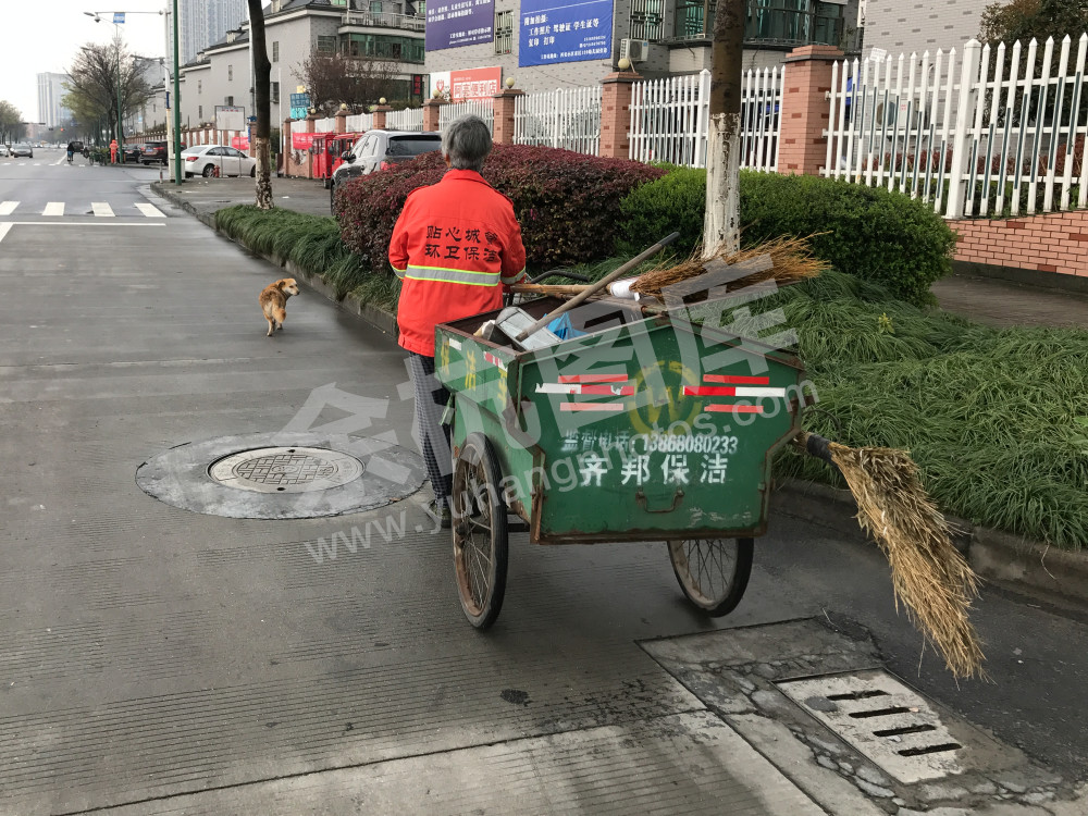 环卫工和她家的狗