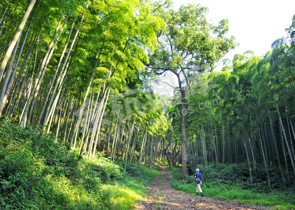 东明山