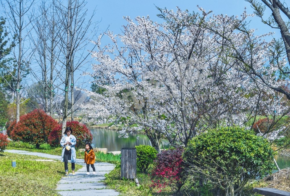 游客在漕雅线边的景观带中游览