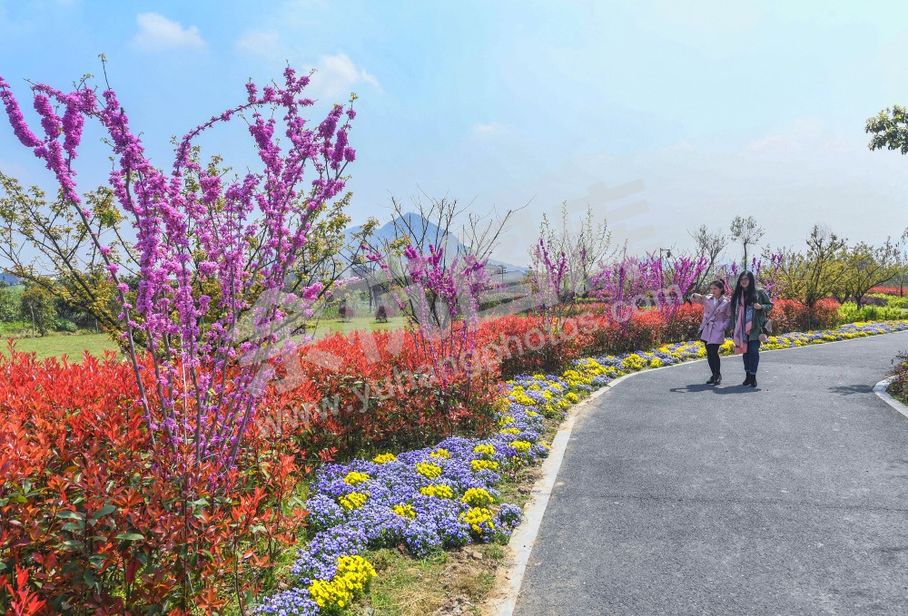 游客游览塘超小径