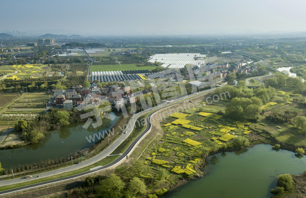 春日   “《余杭》杂志征图”