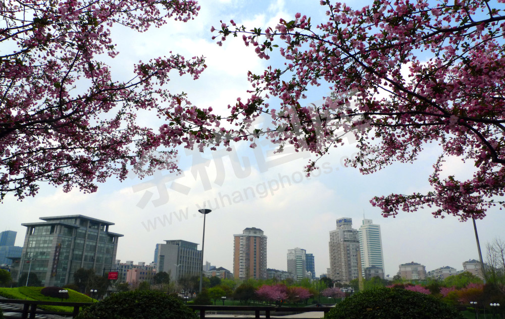 美丽余杭