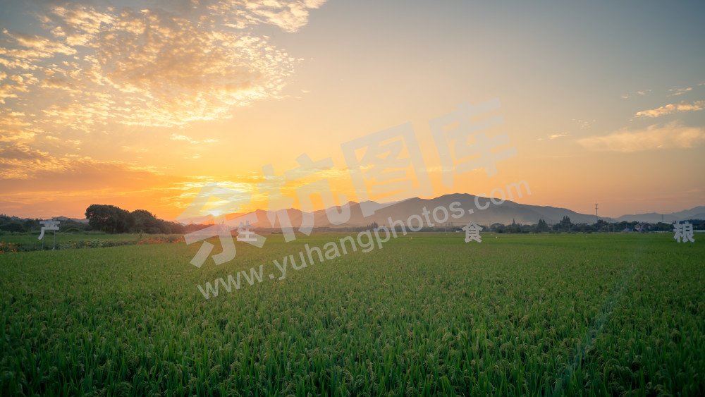 美丽新田园（径山镇前溪村） (4)