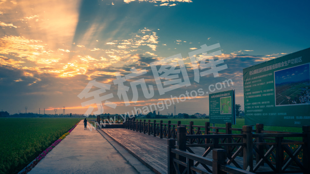 美丽新田园（径山镇前溪村） (2)