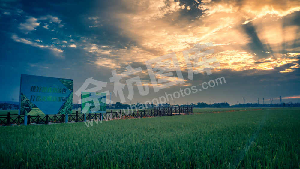 美丽新田园（径山镇前溪村）（1）