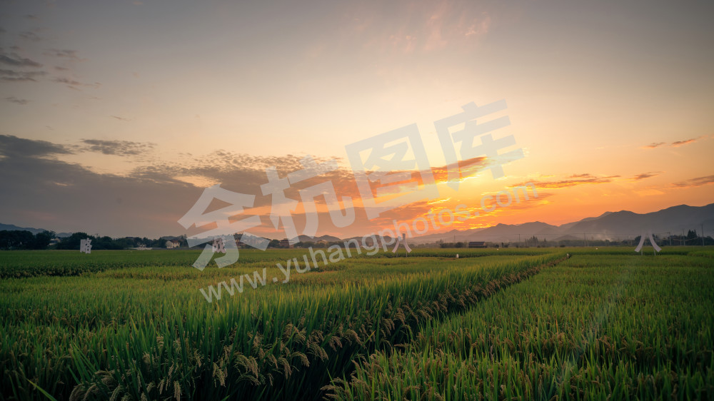 美丽新田园（径山镇前溪村） (5)